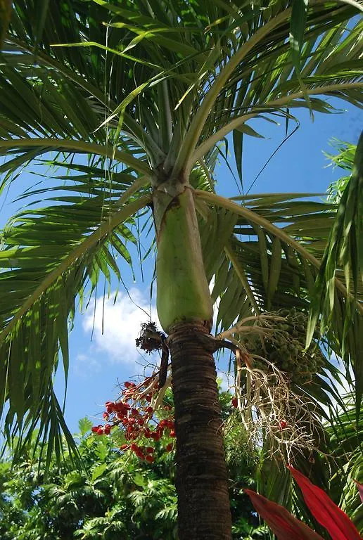 Hotel Chez Marie Alish Gros Islet